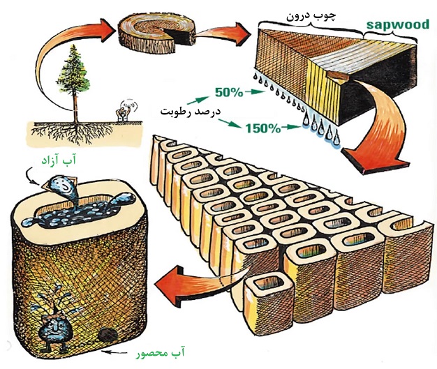 انواع رطوبت در چوب