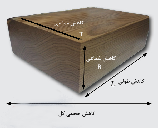 کاهش اندازه در اثر آب رفتگی در جهات مختلف چوب